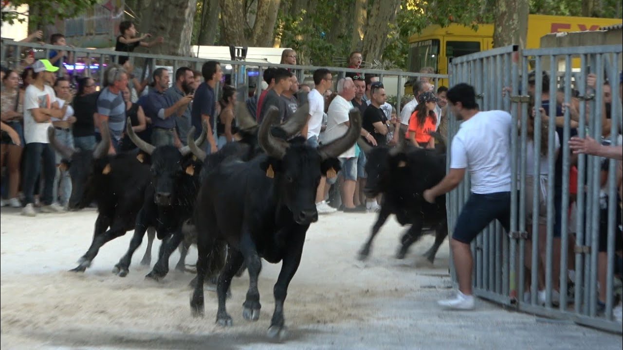 BEAUCAIRE BANDIDO+LÂCHER DES 100 TAUREAUX 29.07.22