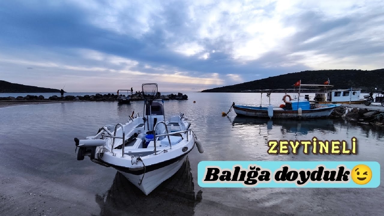 #ZEYTİNELİ 'NDE BALIĞA DOYDUK 👍