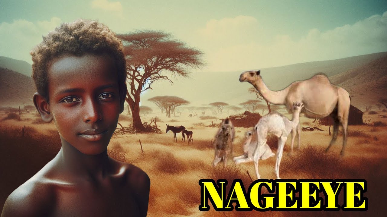 Sheekadii Negeeye Qeybta 5aad Sheeko Dhaqameed Qarni Joog