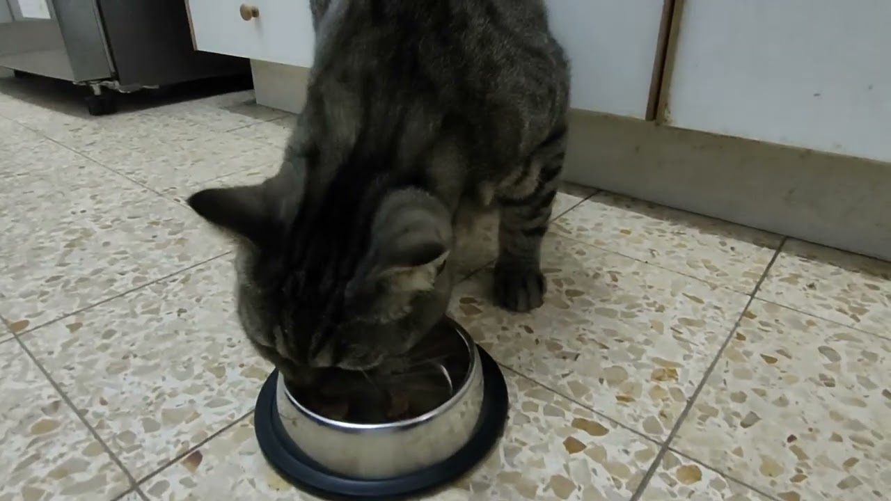 I love a good meal!