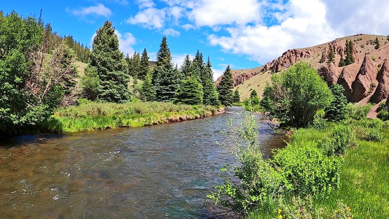 A Bear?, A Hail storm and A Bunch of Trout part -13