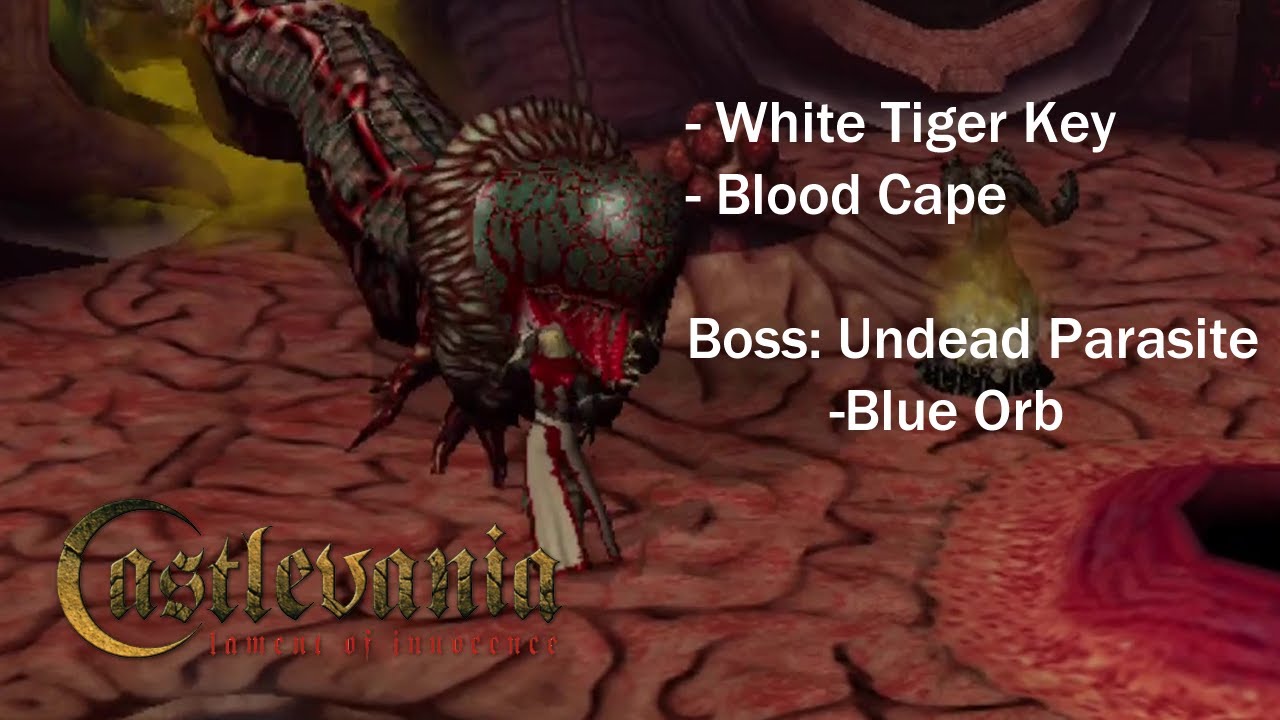 House of Sacred Remains - Castlevania Lament of Innocence - PS2 Gameplay
