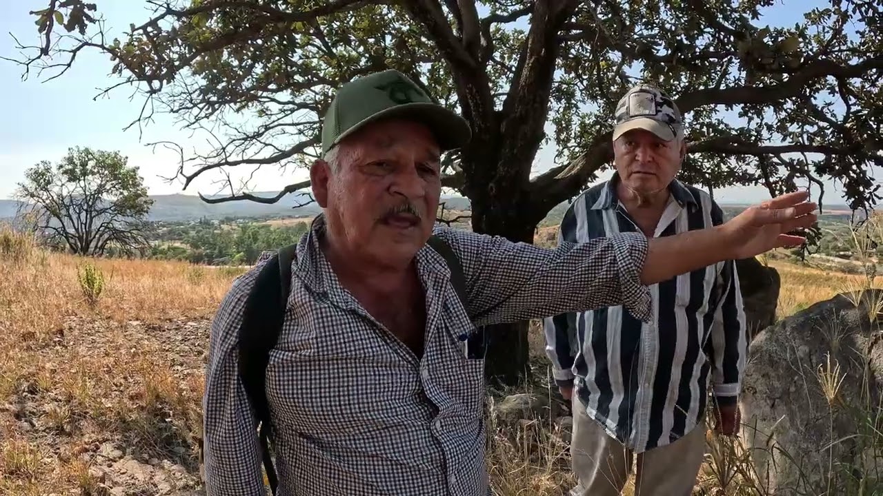 En busca de 18 cargas de plata