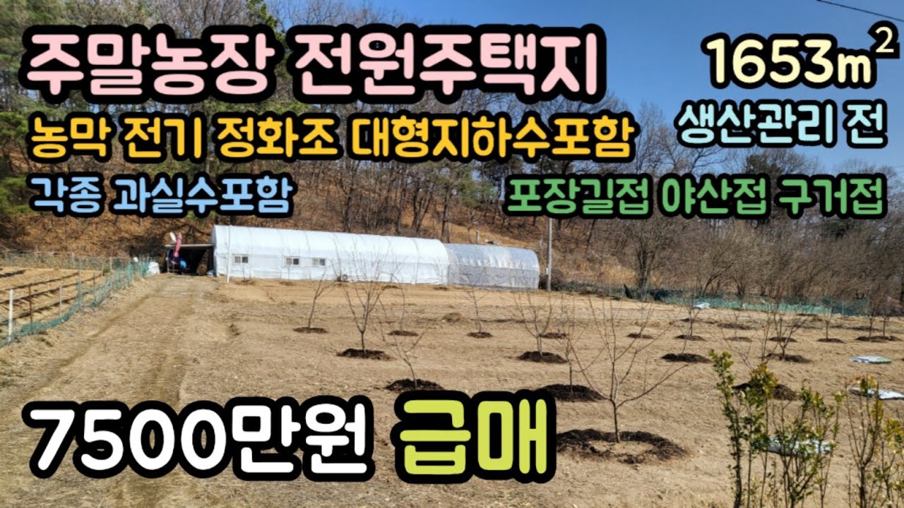 (매물번호14308) 7500만원 보은부동산 1653㎡(500) 보은땅 보은토지매매매물 청주부동산 청주토지 시골땅 촌땅 싼땅 급매 농막 주말농장 전원주택지 집터 대전부동산 대전땅