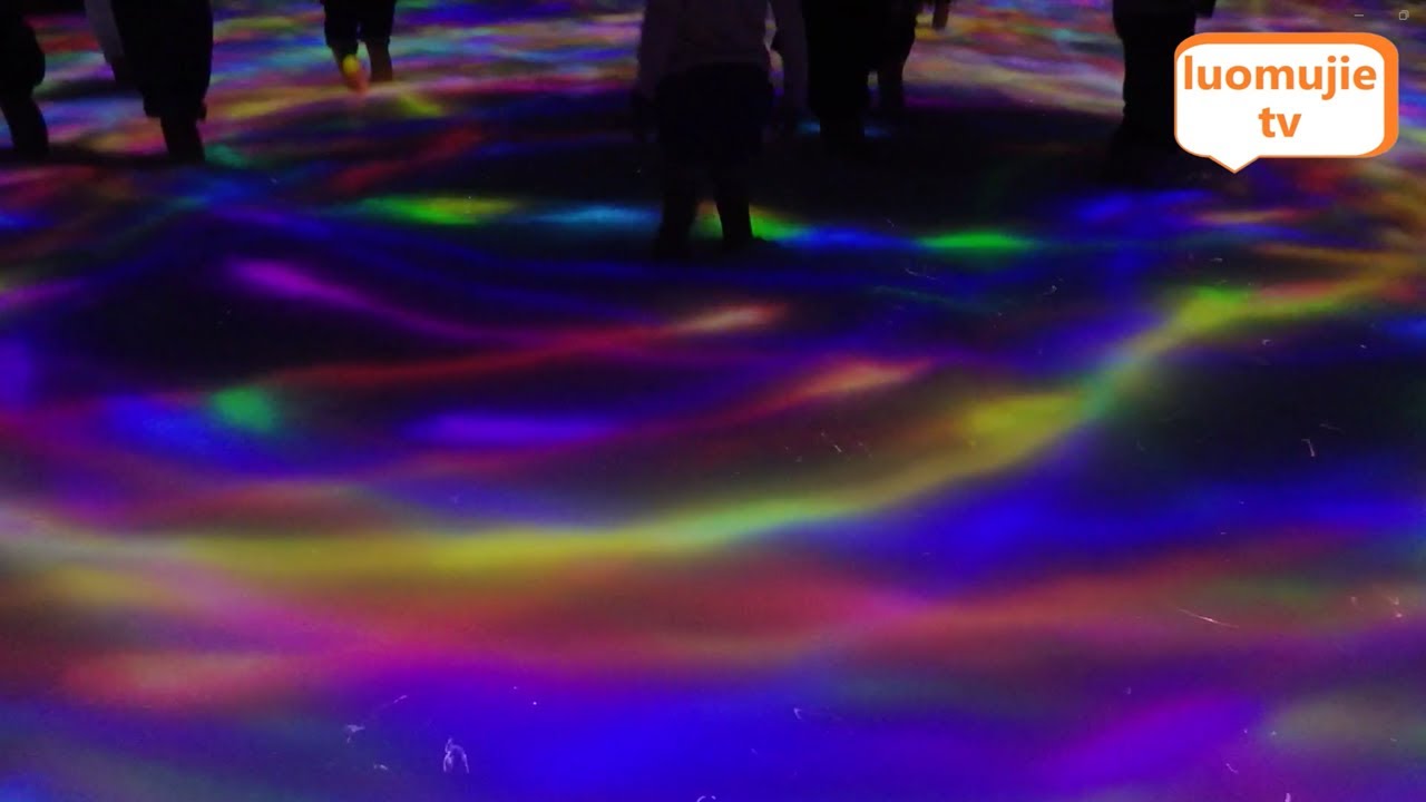 Tokyo’s Magical Koi Pool: A Must-See at TeamLab Planets | Japan