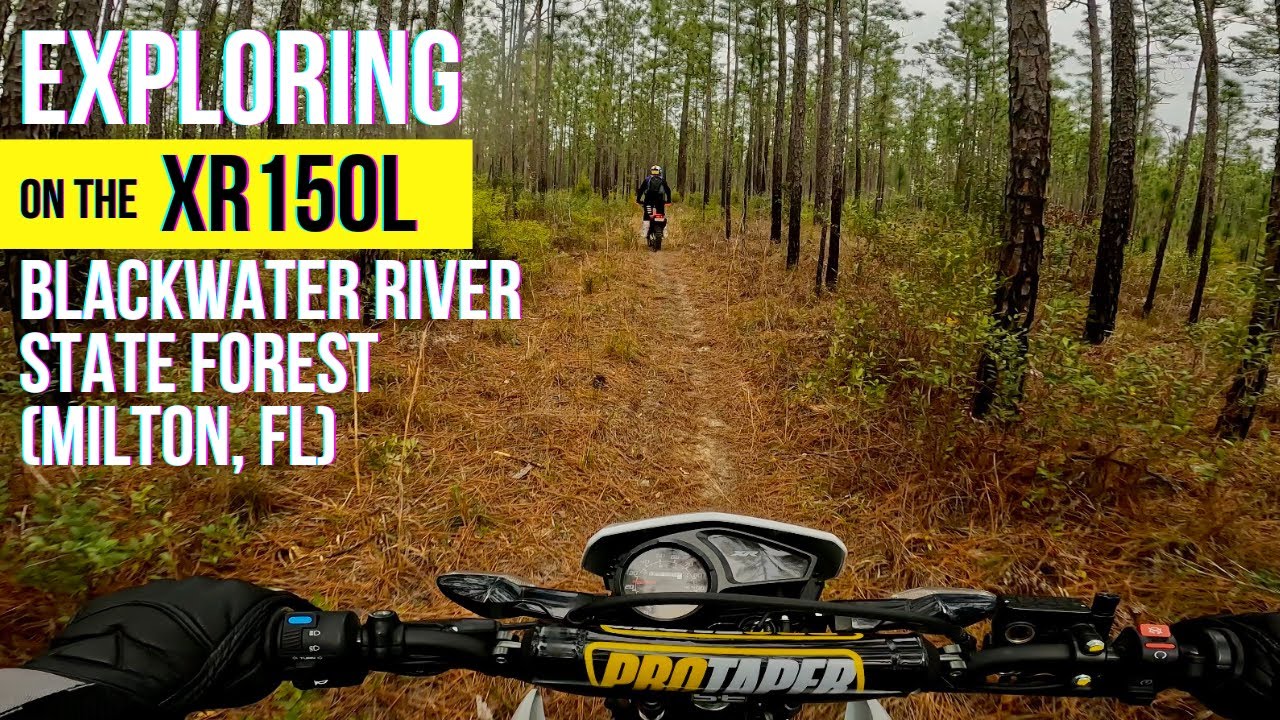 Exploring on the Honda XR150L: Sand & SIngletrack in FL (Blackwater River State Forest)