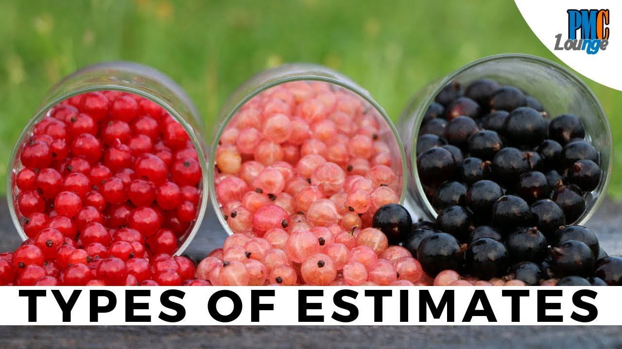 Types of Cost Estimates | Rough Order of Magnitude (ROM) | Budget Estimate | Definitive Estimate