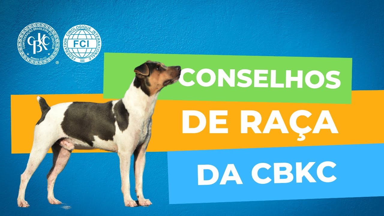Conhe&ccedil;a os Conselhos de Ra&ccedil;a da CBKC