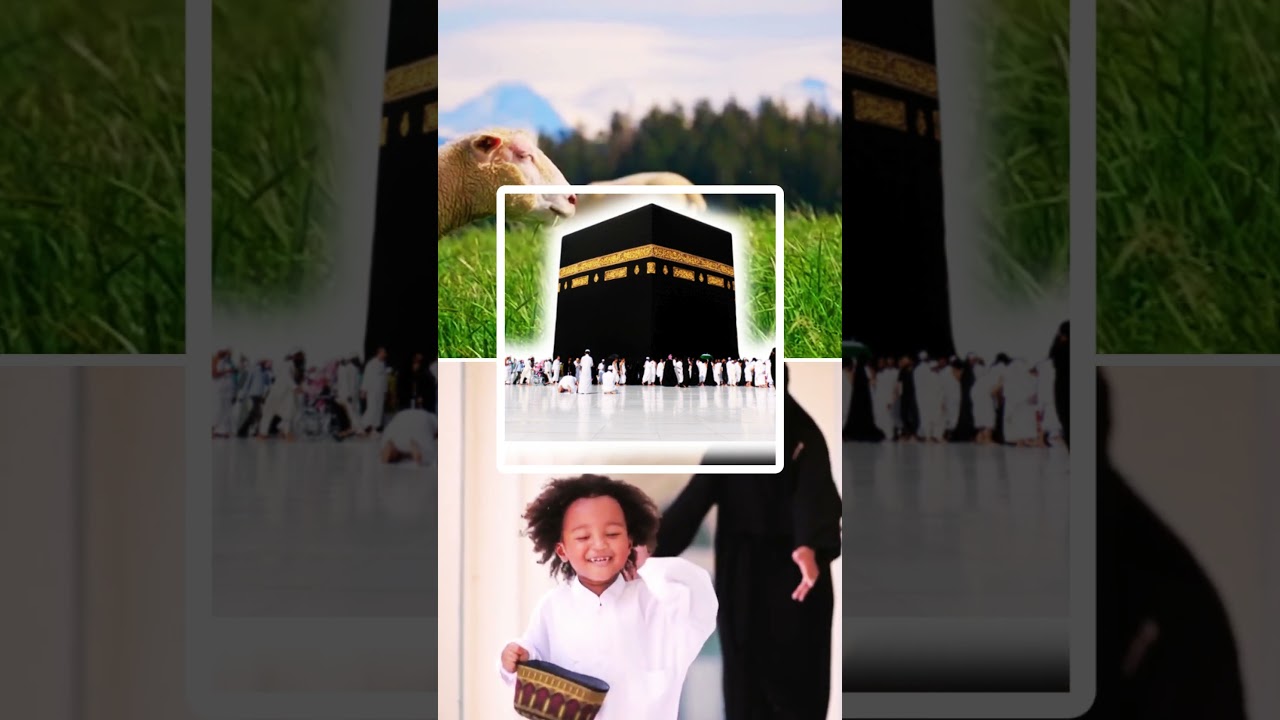Eid Joy &ndash; Moments of Happiness and Celebration