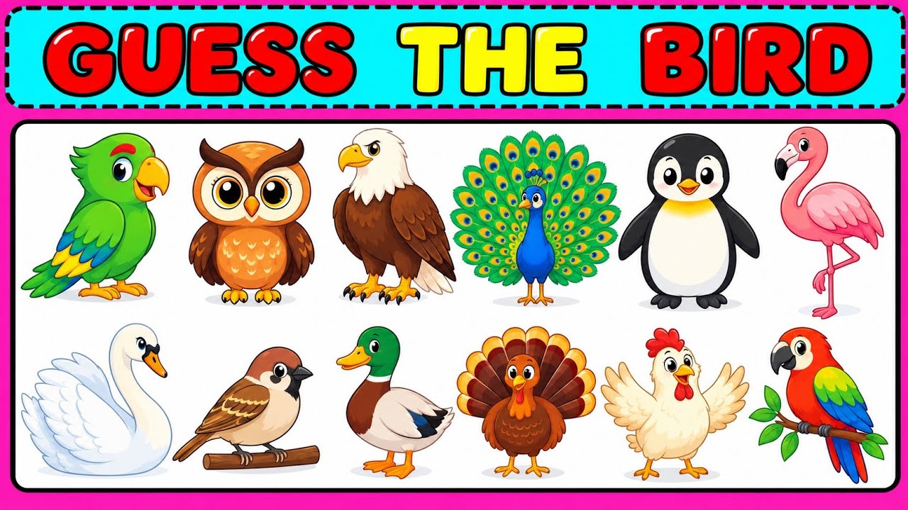 Guess the Bird 🐦 | Fun Bird Quiz for Kids | Can You Name All 12 Birds? 🧠🌟