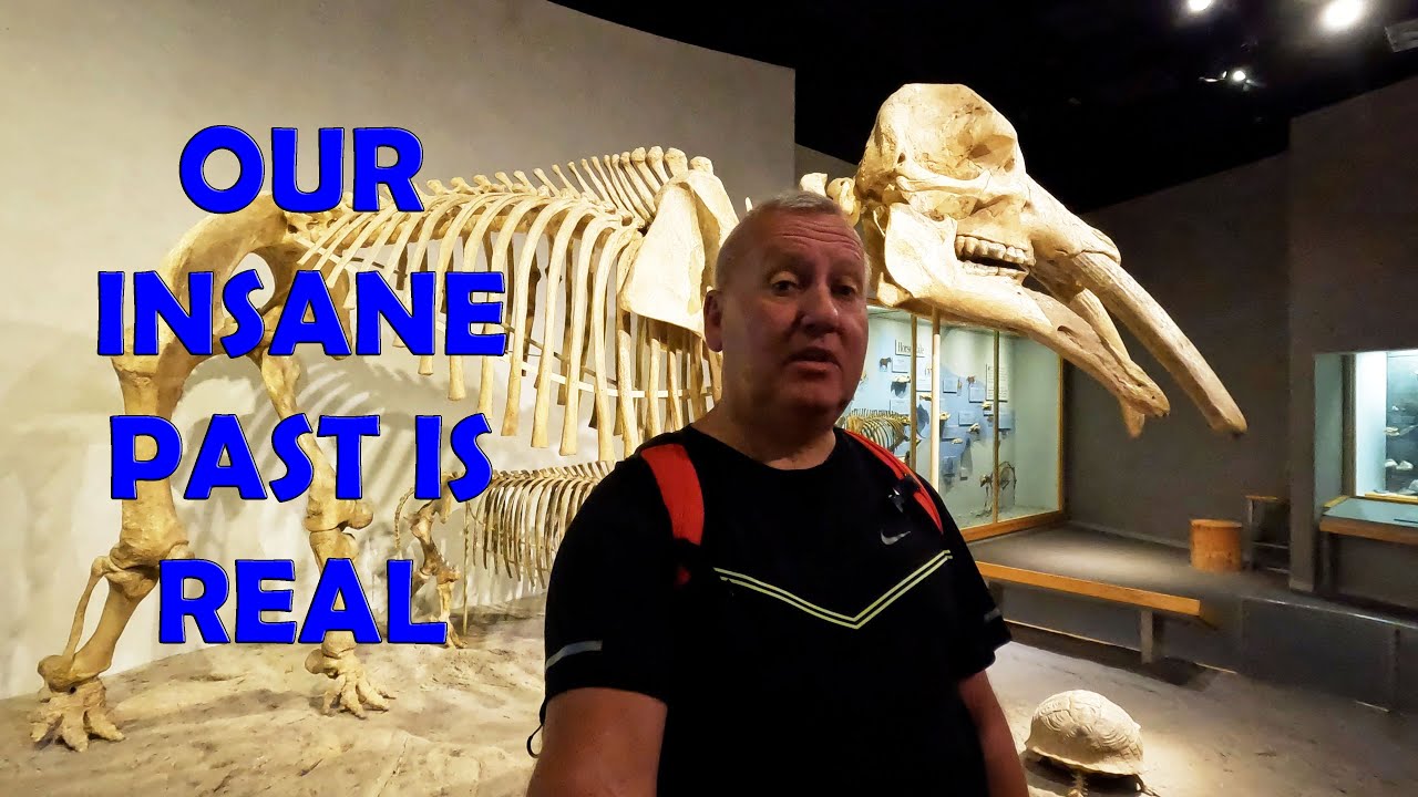 Dinosaurs at the Denver Museum of Nature & Science