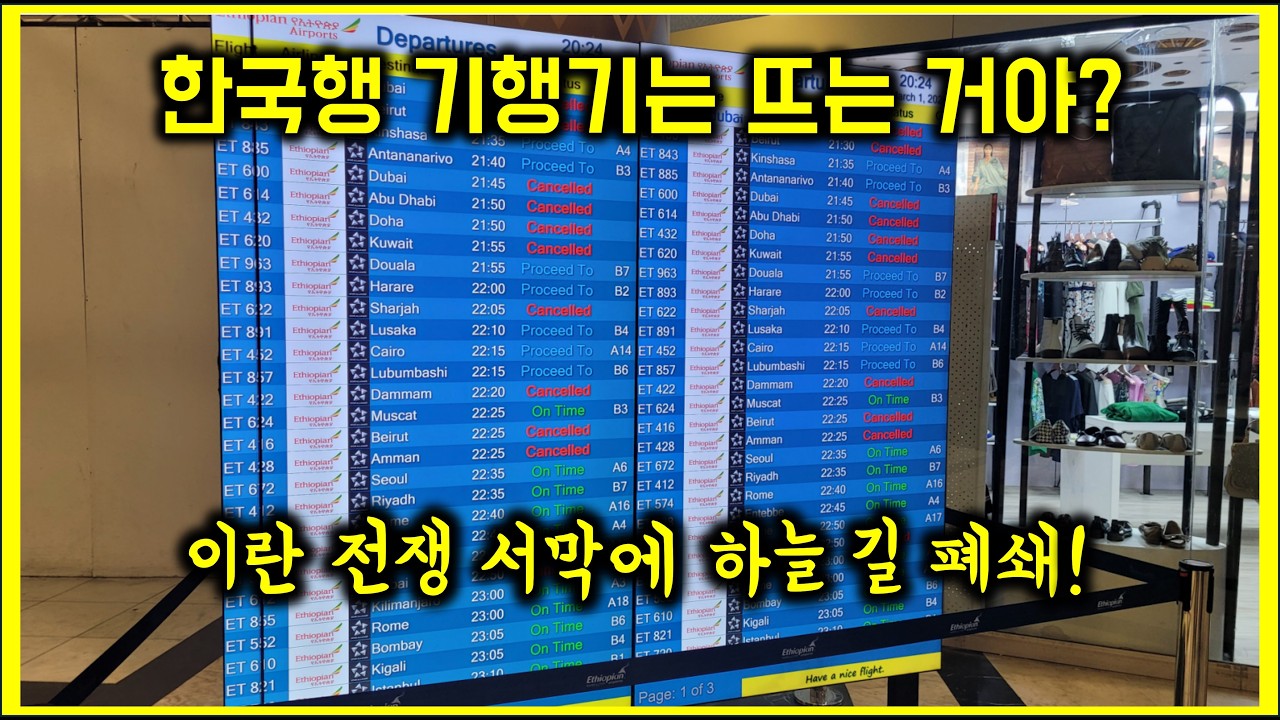 아프리카에서 무사히 돌아왔어요~