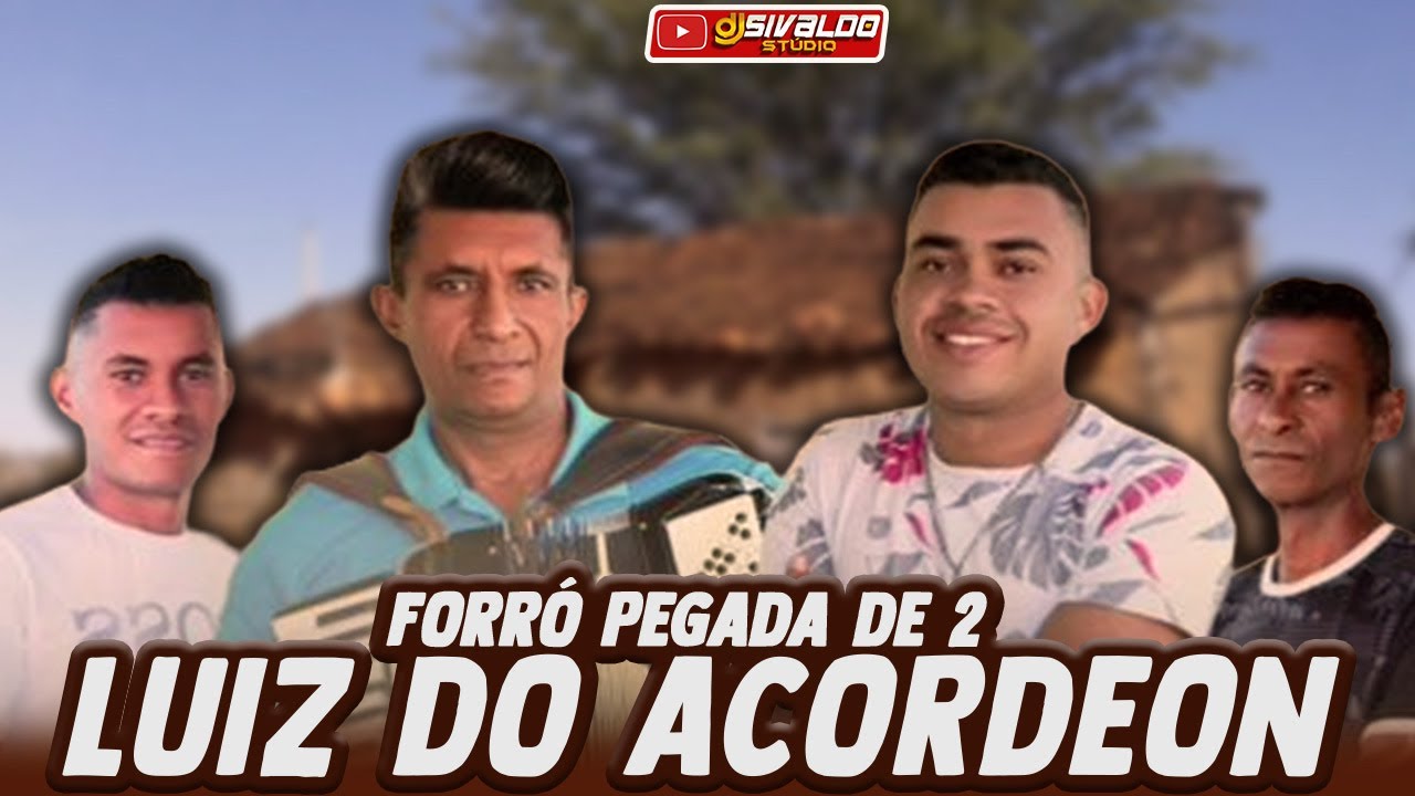 LUIZ DO ACORDEON - SÓ FORRÓ TRADICIONAL ( PEGADA DE 2 )