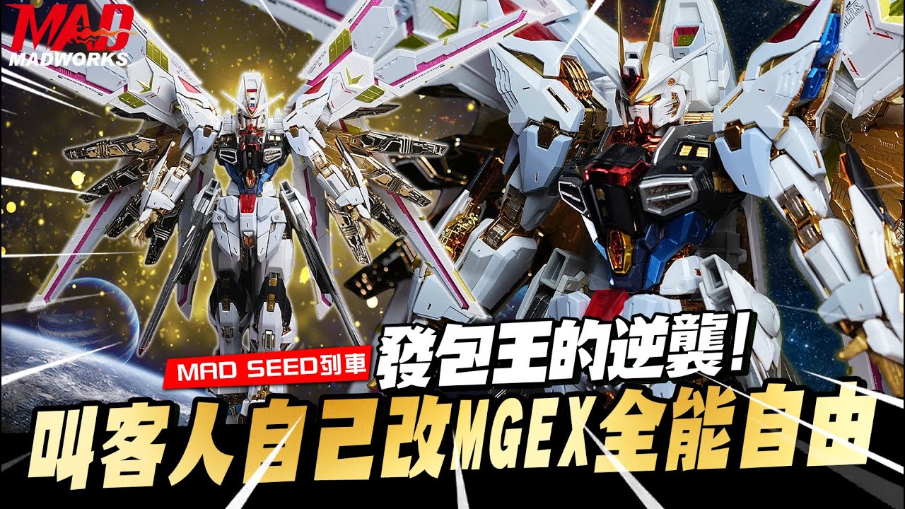 MAD SEED列車-發包王的逆襲！叫代工客戶自己改MGEX全能型攻擊自由!! #seedfreedom