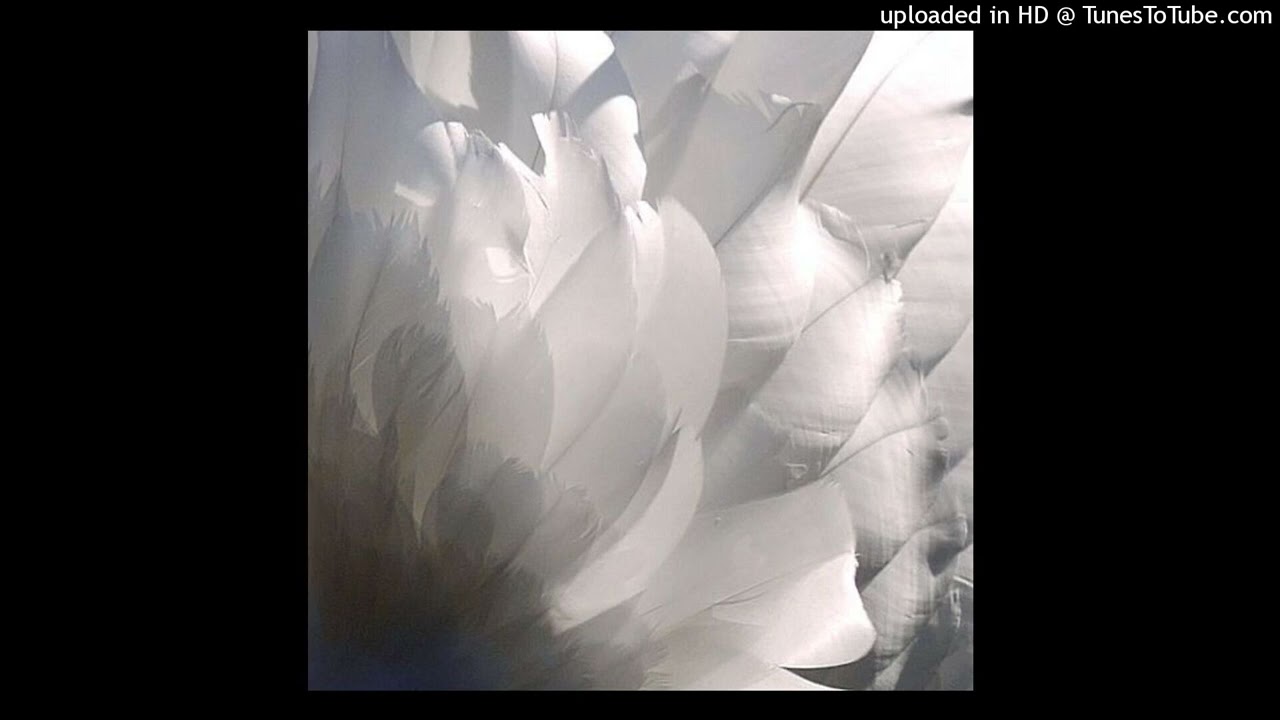 [free[ ambient izaya tiji type beat - 