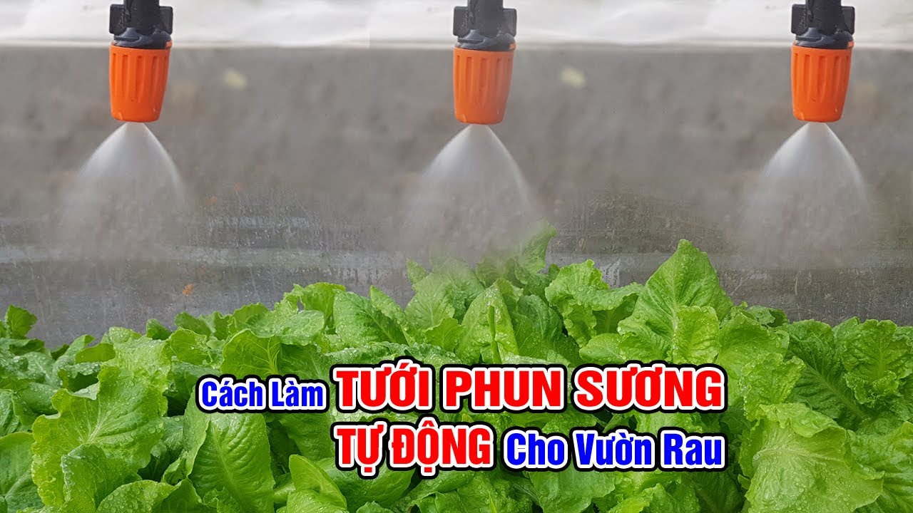 Cách làm tưới phun sương tự động cho vườn rau