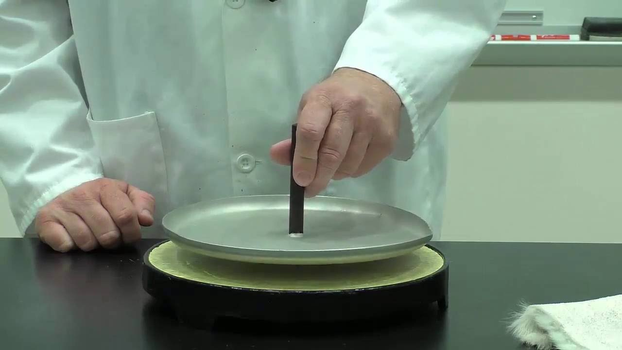 Electrophorus Explanation (5a1020)