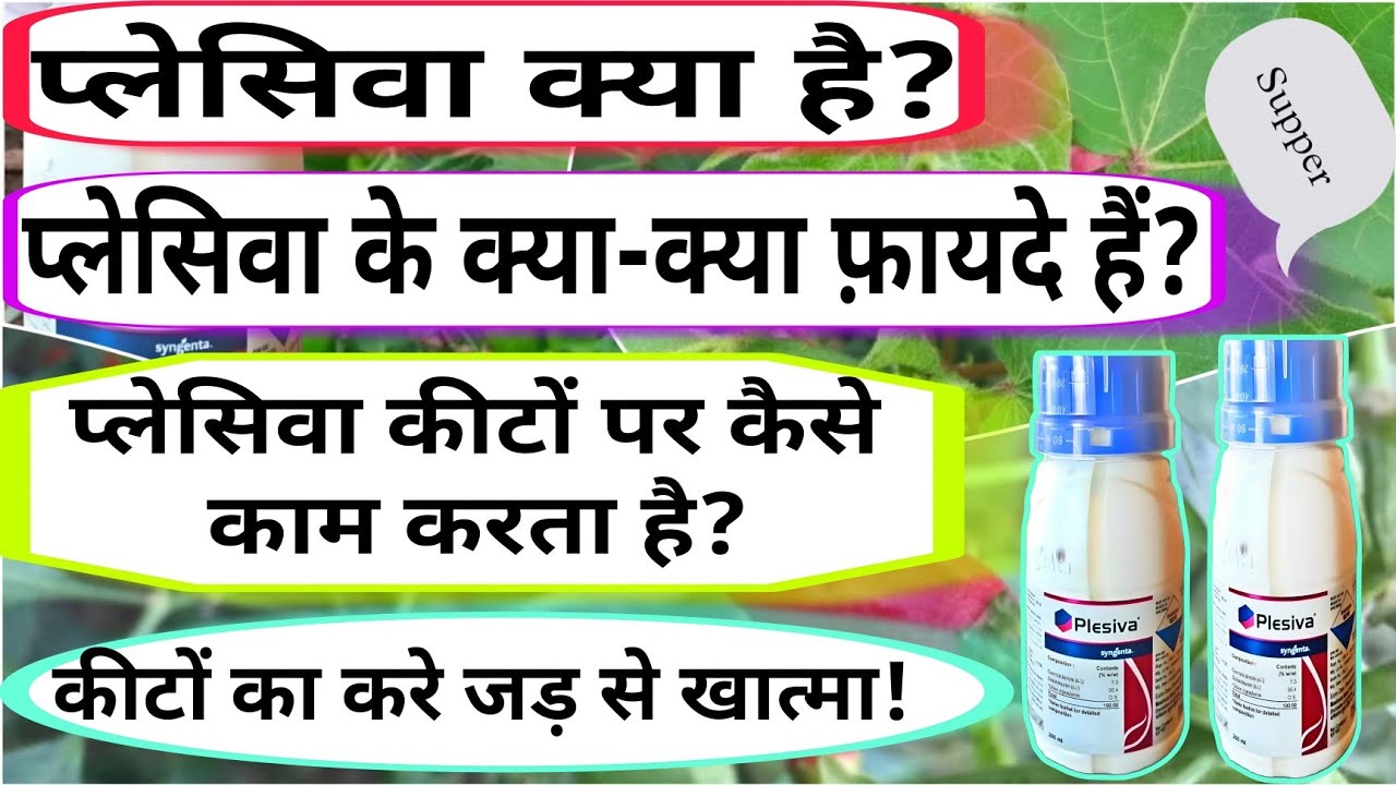 Plesiva Syngenta | Strength | Mode of Action | Crop Protection | How to use | Plesiva Insecticide |