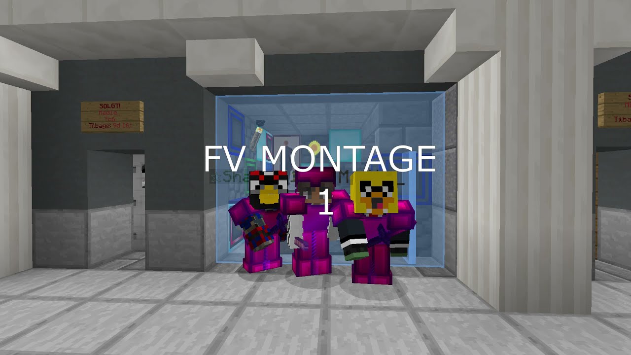 FV Montage #1