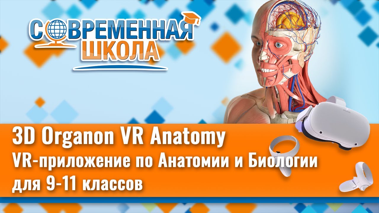 VR-приложение по Анатомии и Биологии для 9-11 классов «3D Organon VR Anatomy»