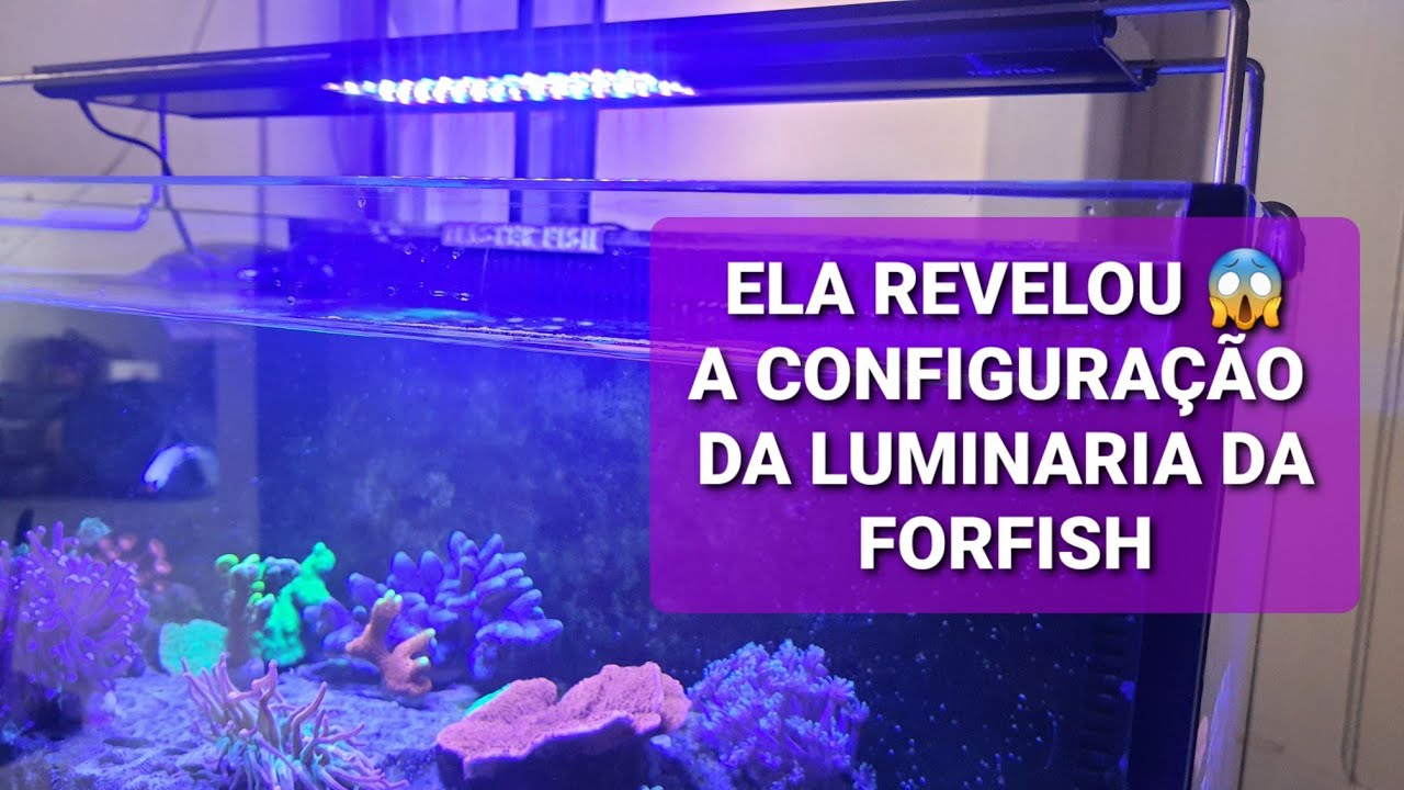 CONFIGURAÇÃO DA LUMINARIA FORFISH QUE USAMOS EM NOSSO NANO REEF |MASTER FISH| AMAZING