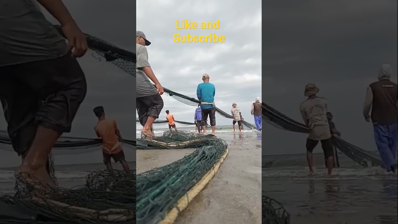 NARIK JARING PUKAT DARAT,, #Rahmatchanel #fish #fisherman #fyp #vidioviral #nelayan