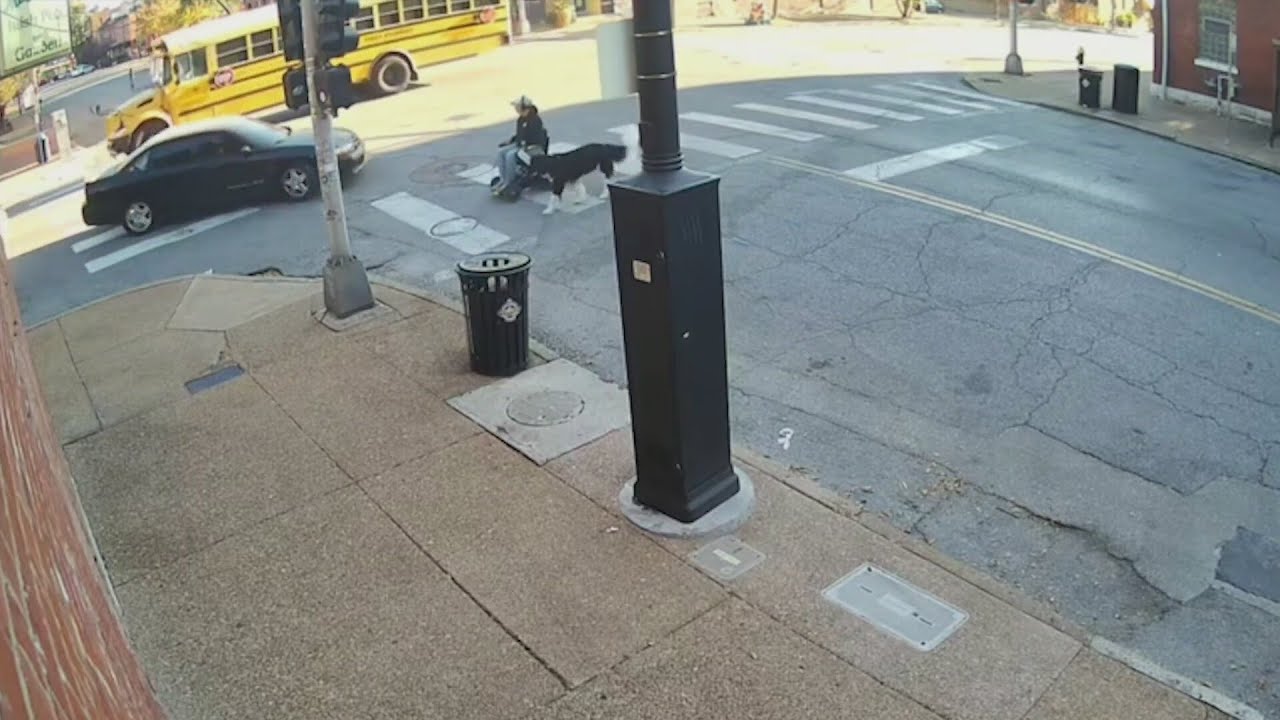 'I'm fed up' - Victim speaks out after Soulard hit-and-run crash, suspect wanted