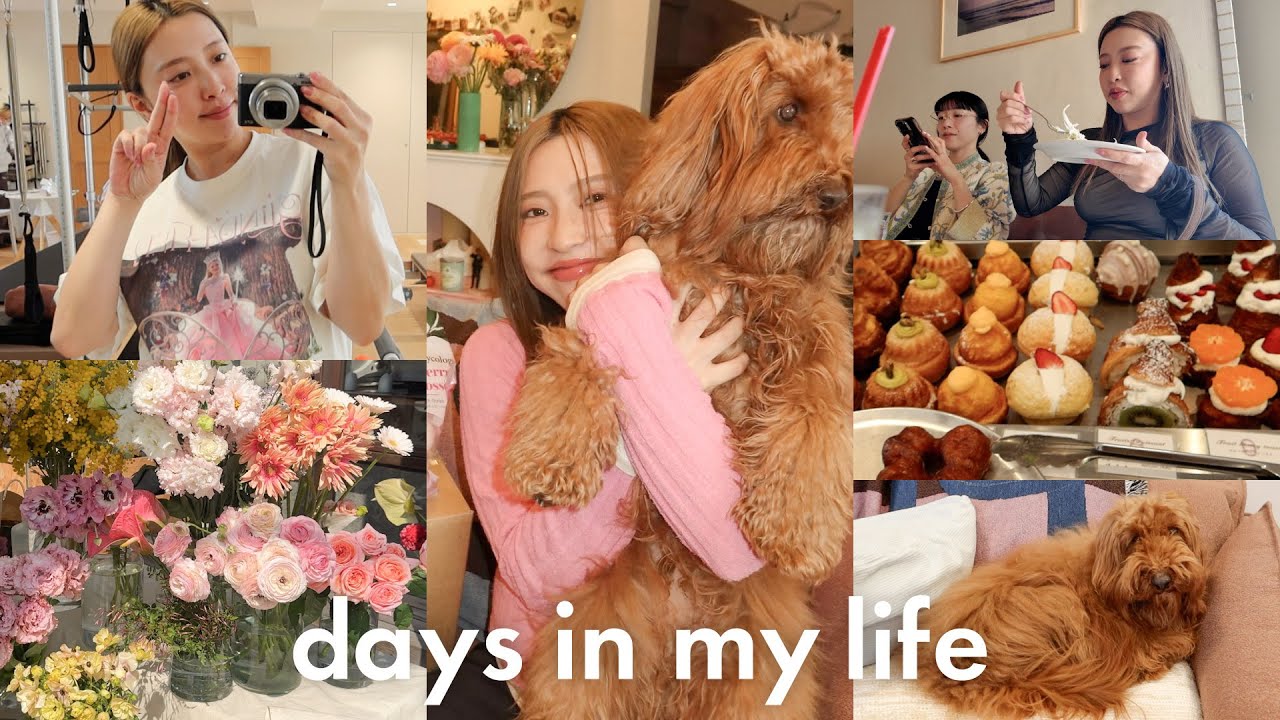 【日常Vlog】癒された3日間の休日☘️🐶お散歩/犬連れランチ/実家/ピラティス