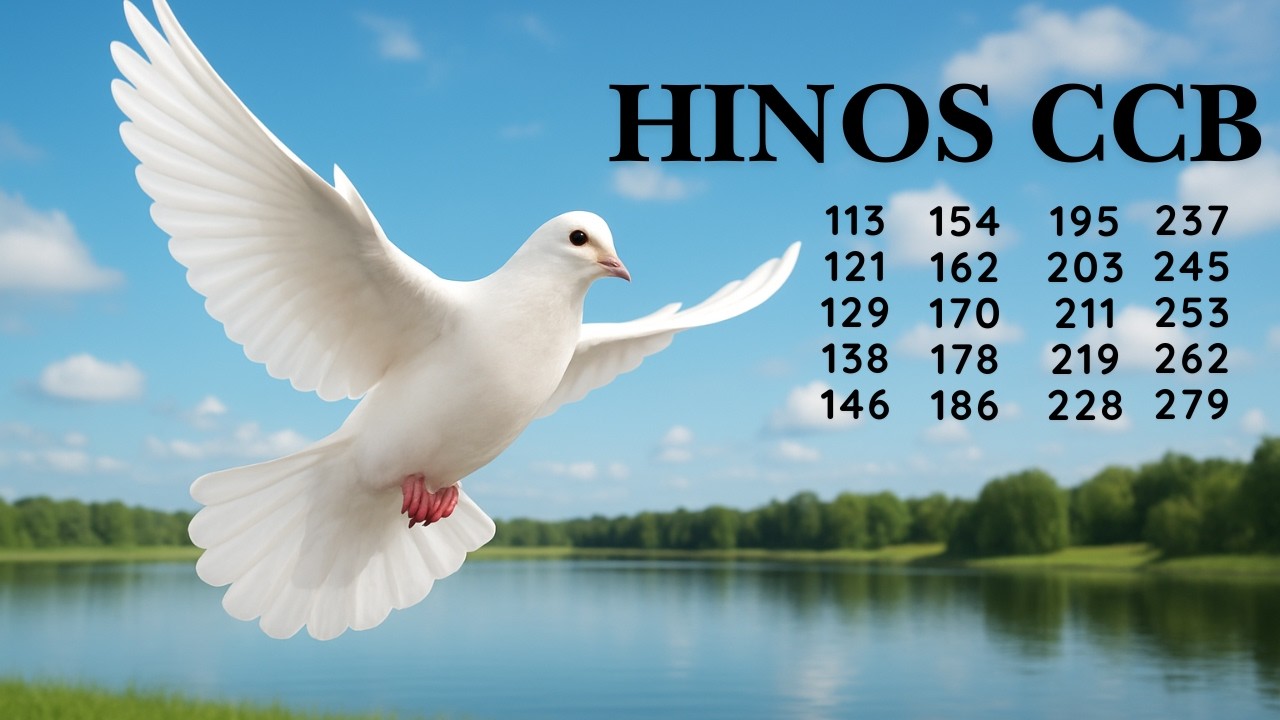 HINOS CCB - 49 | 113 121 129 138 146 154 162 170 178 186 195 203 211 219 228 237 245 253 262 279