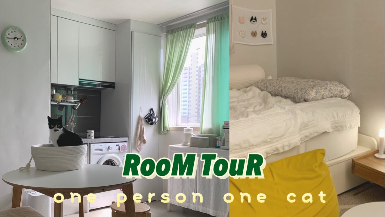 고양이와 함께 사는 1.5룸 자취방 룸투어 ( 10평 랜선집들이/ 전세대출 이자가 3만원? / 광주 청년정책/ 미니멀리스트 / 수납비결=공중부양템) (feat. 오늘의집 VIP)