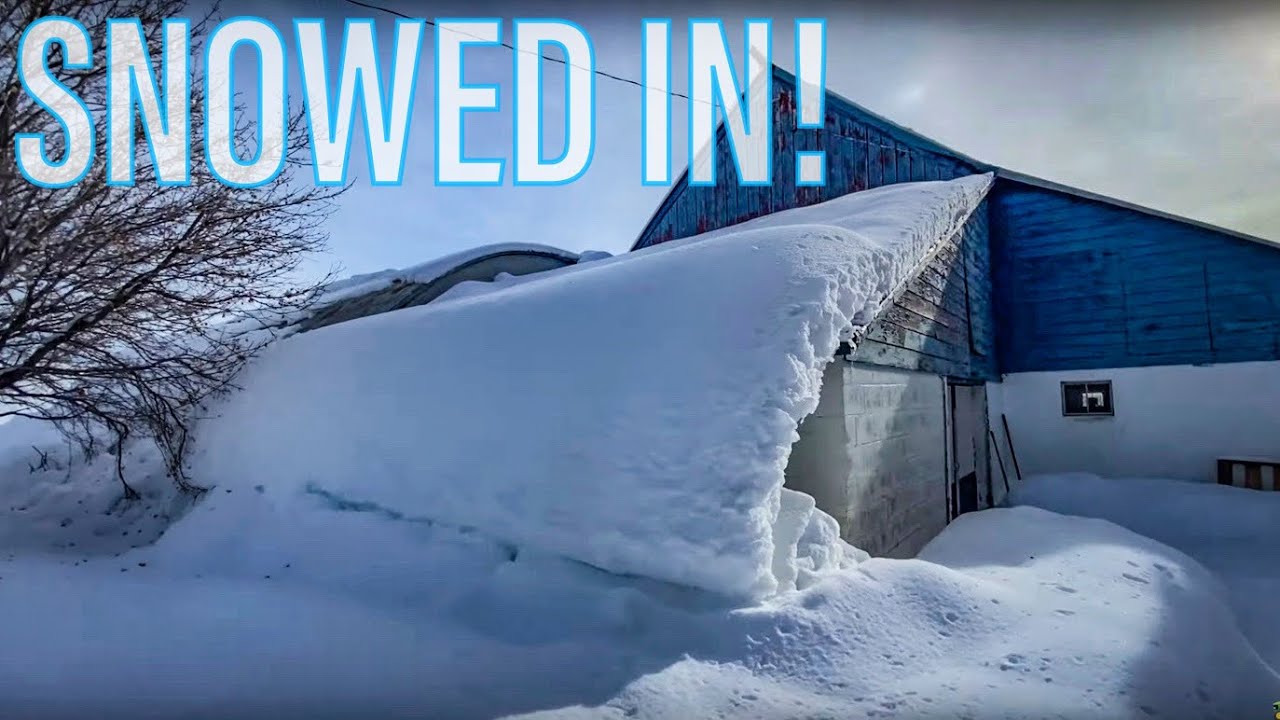 ❄️ SNOWED IN! Part 1 of 5 Days Digging Out The Farm 🚜