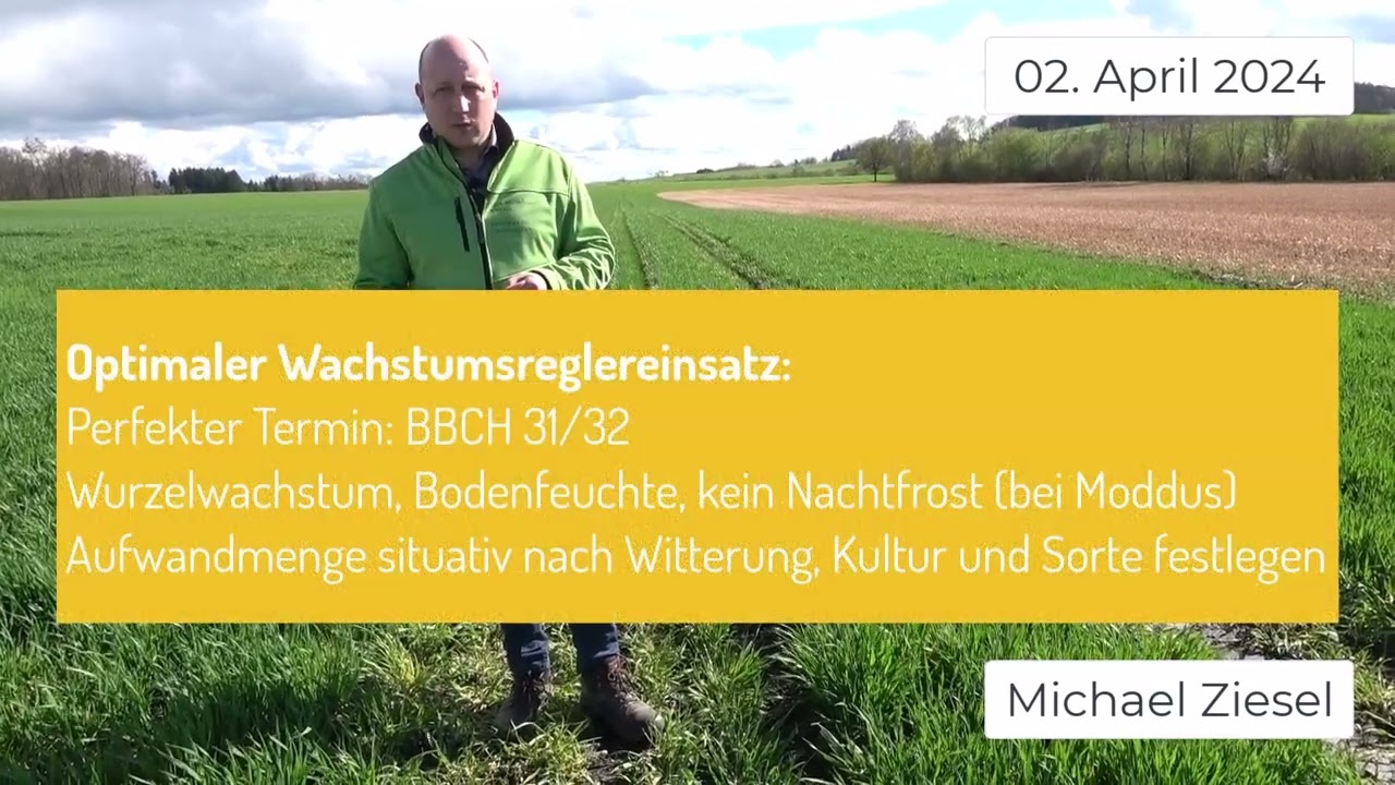 Pflanzenbau Aktuell - Wachstumsregler, erste Blattkrankheiten, D&uuml;ngung und Rapsglanzk&auml;fer