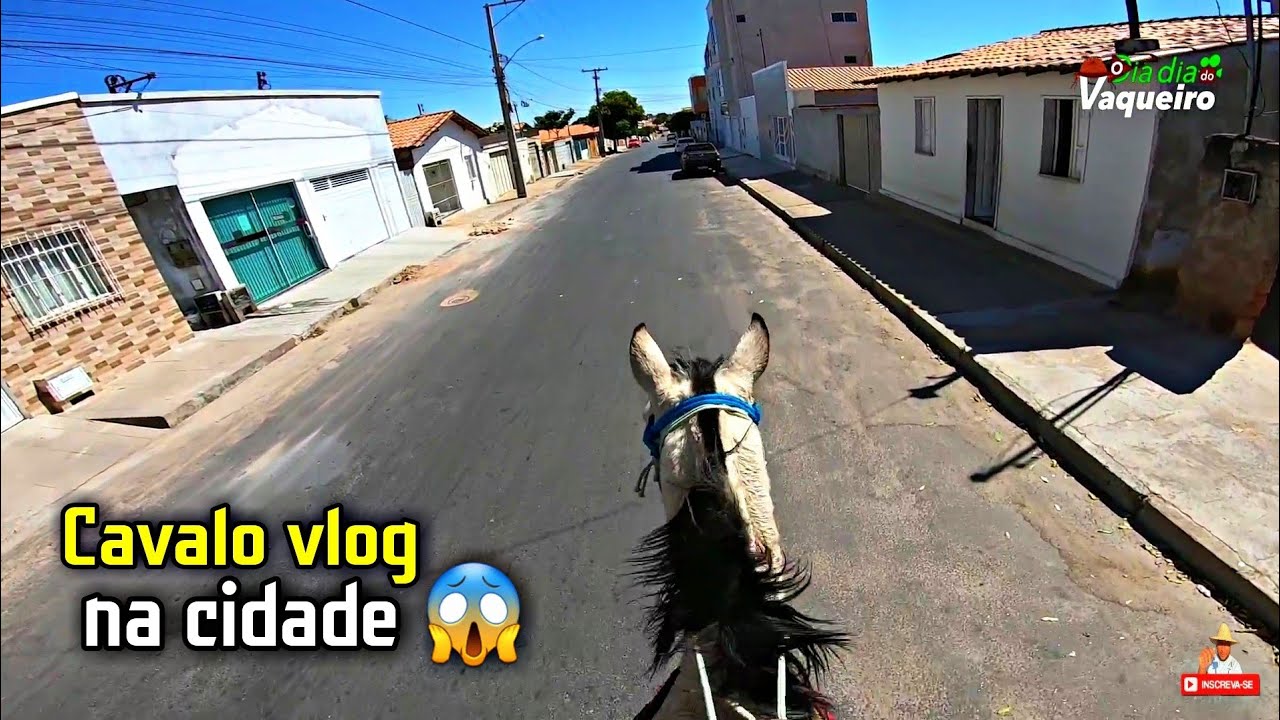PASSEIO A CAVALO NA CIDADE | o cavalo bai&atilde;o tem muito medo de carro ser&aacute; que deu bom confiram.
