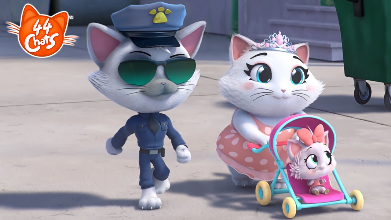 44 Chats | À la rencontre de Cop le chat policier