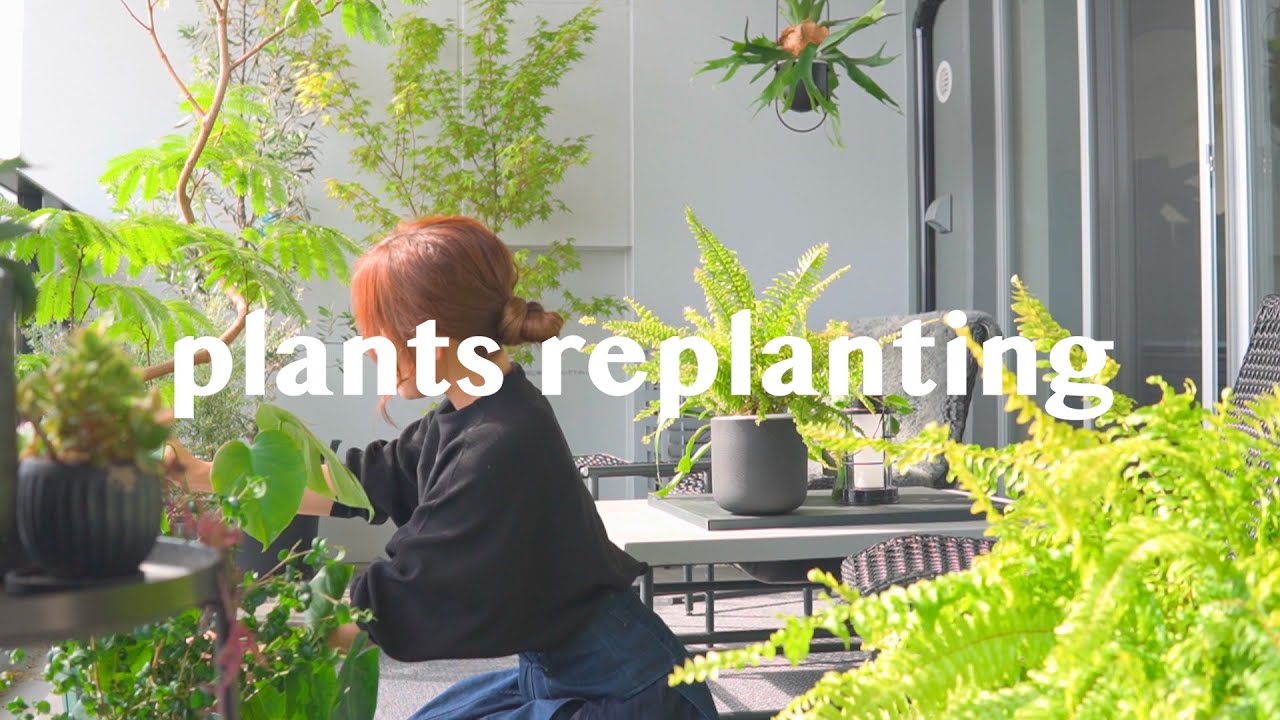 【観葉植物】ベランダで植物のお世話&掃除ルーティーン  | ガーデンバルコニー Ｉbalcony gardenＩ観葉植物のある暮らし