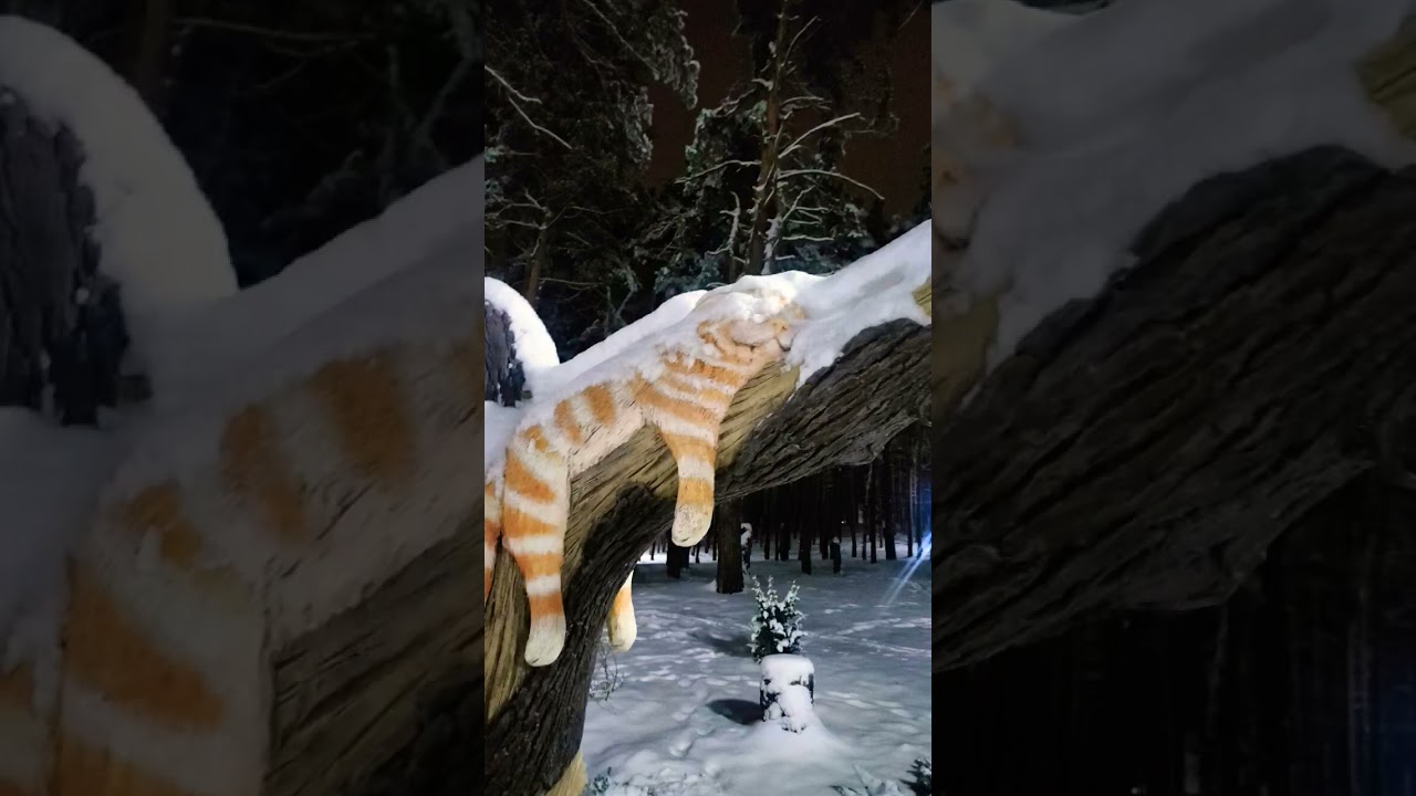 темперамент домашніх улюбленців
