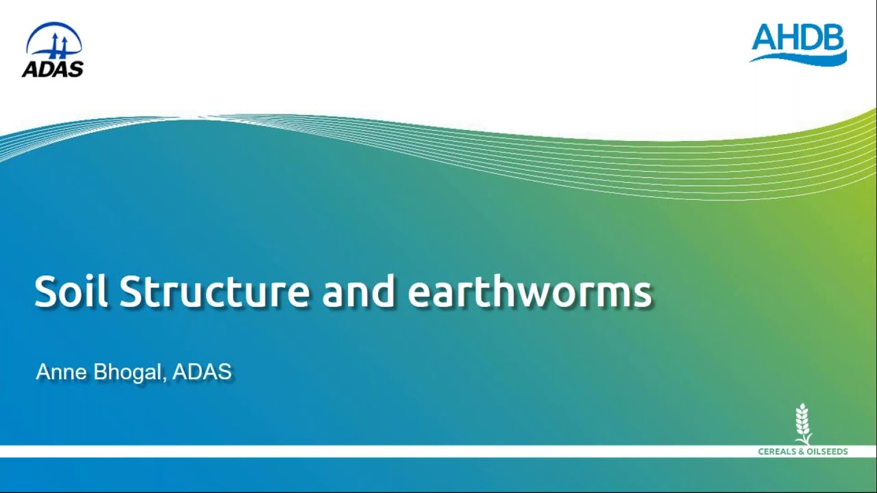 Soil structure and earthworms masterclass