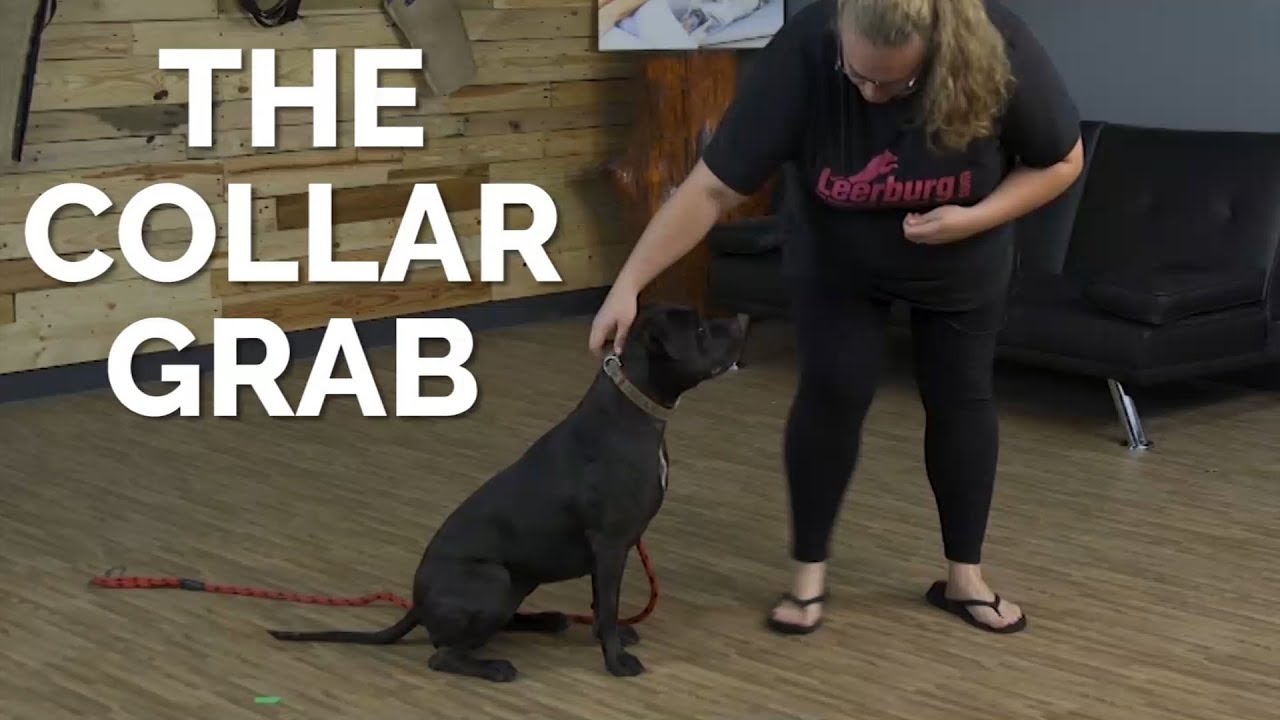 Training the Collar Grab