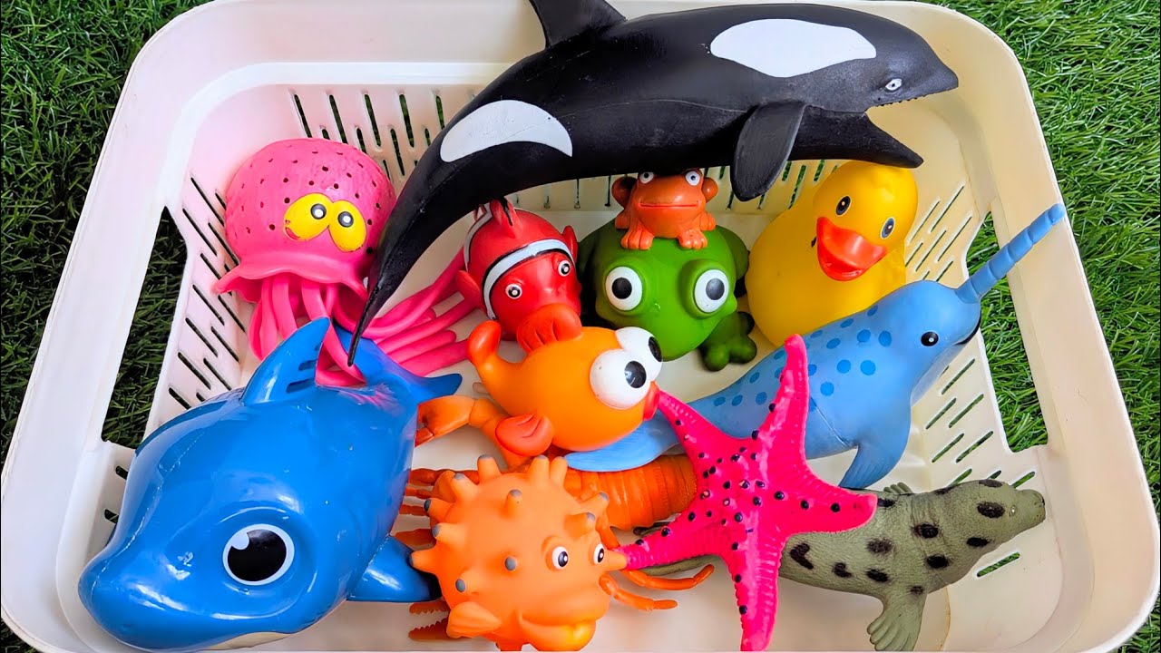 Sea Animals - Kids vocabulary - Learn English for Preschoolers - English educational video