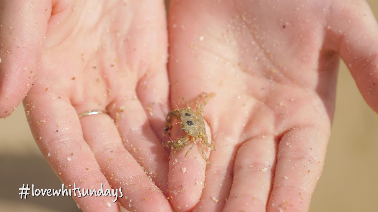 Explore Cape Gloucester