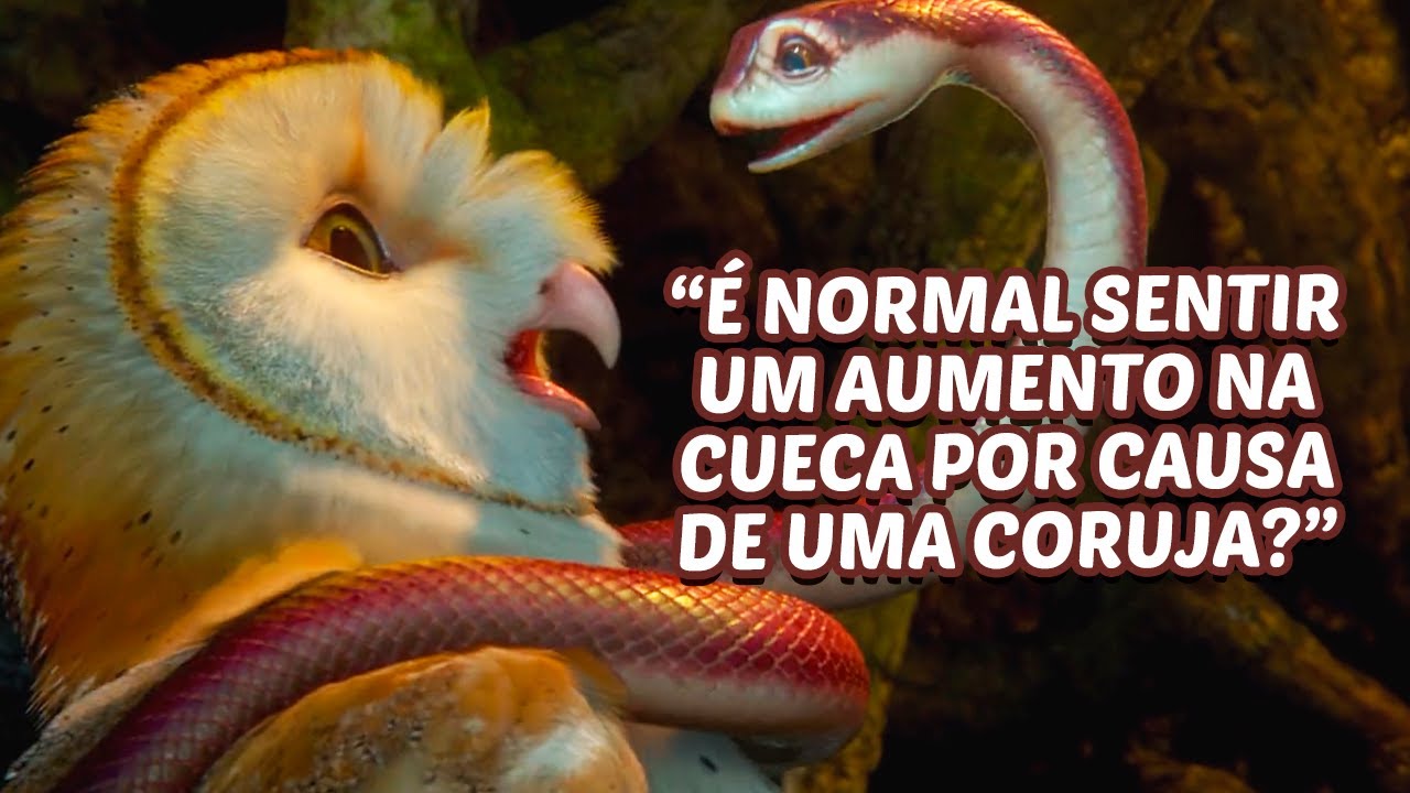 UMA COBRA SER BABÁ DE CORUJAS NÃO FAZ SENTIDO