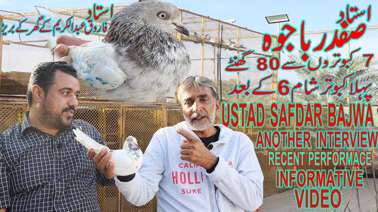 Ustad Safdar Bajwa|7 kabotron Se|80hrs|Pehla Kabotar 6pm K Baad|Shouq|Information|Tips|Discussion
