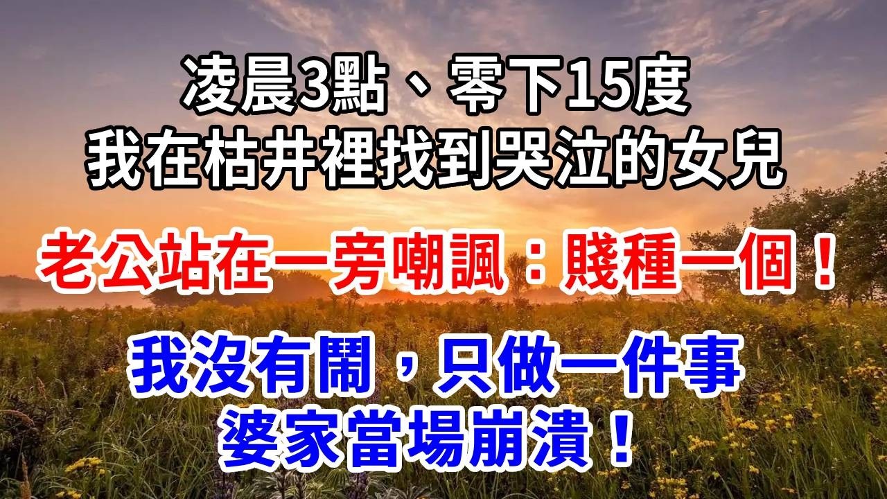 凌晨3點、零下15度，我在枯井裡找到哭泣的女兒，老公站在一旁嘲諷：賤種一個！我沒有鬧，只做一件事，婆家當場崩潰！