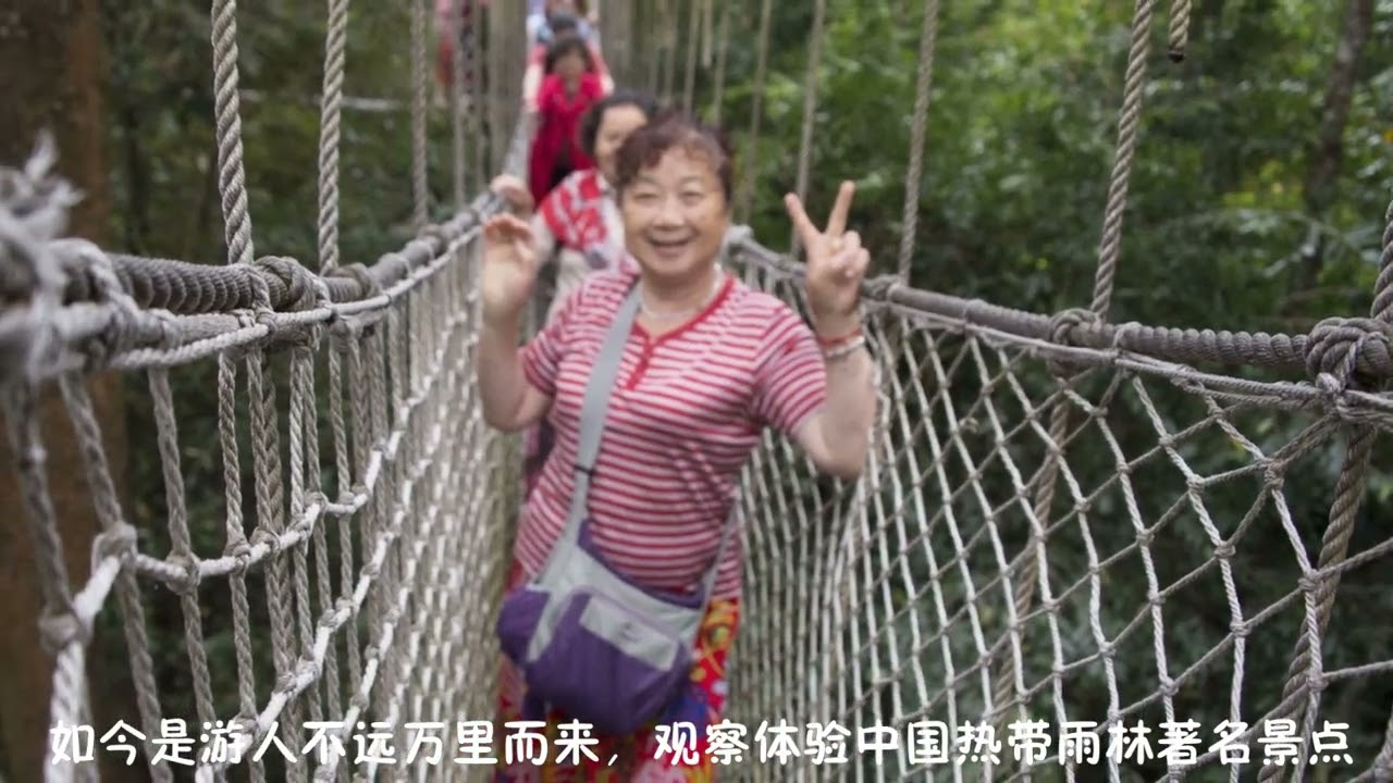 游滇西南（13）：望天树景区