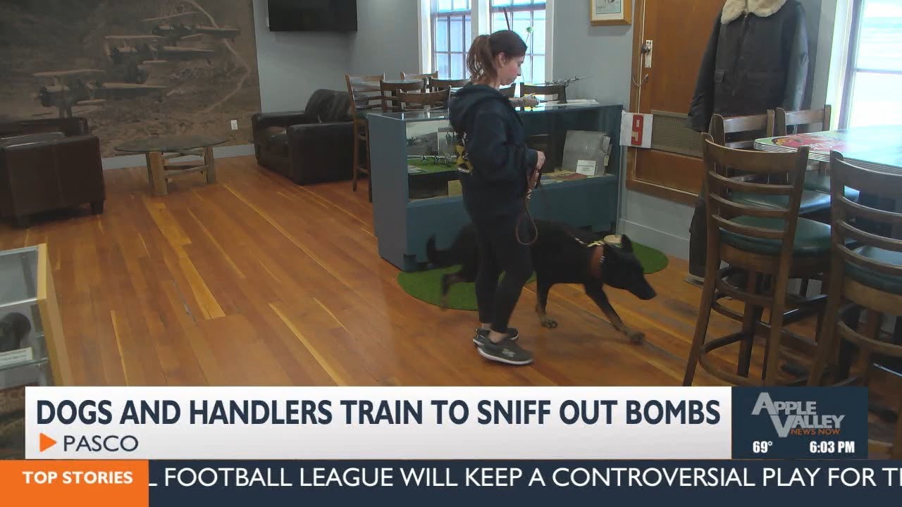 K9 Heroes: Training Bomb-Sniffing Dogs ranging from Washington to Canada