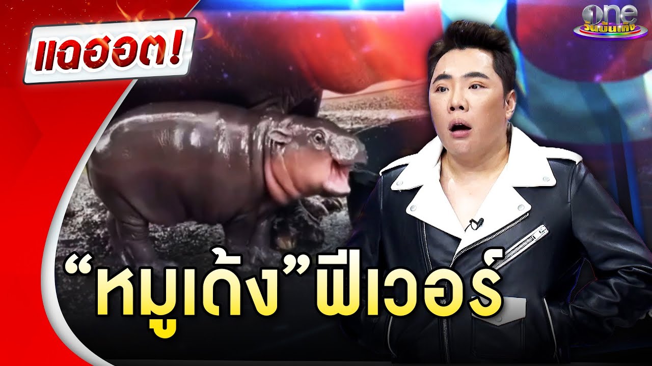 ฮอตเกินต้าน “หมูเด้ง” ฟีเวอร์ | แฉฮอต 2024