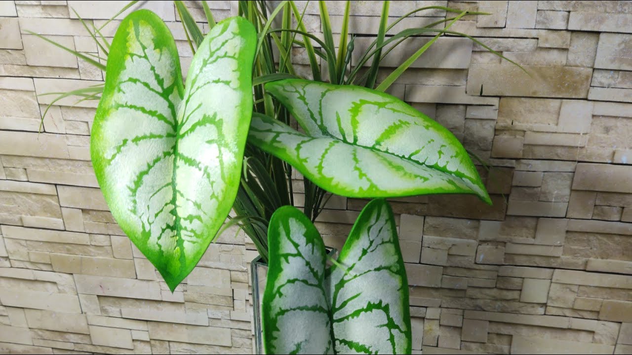 754 - Stencil Caladium Branco 3 Tamanhos