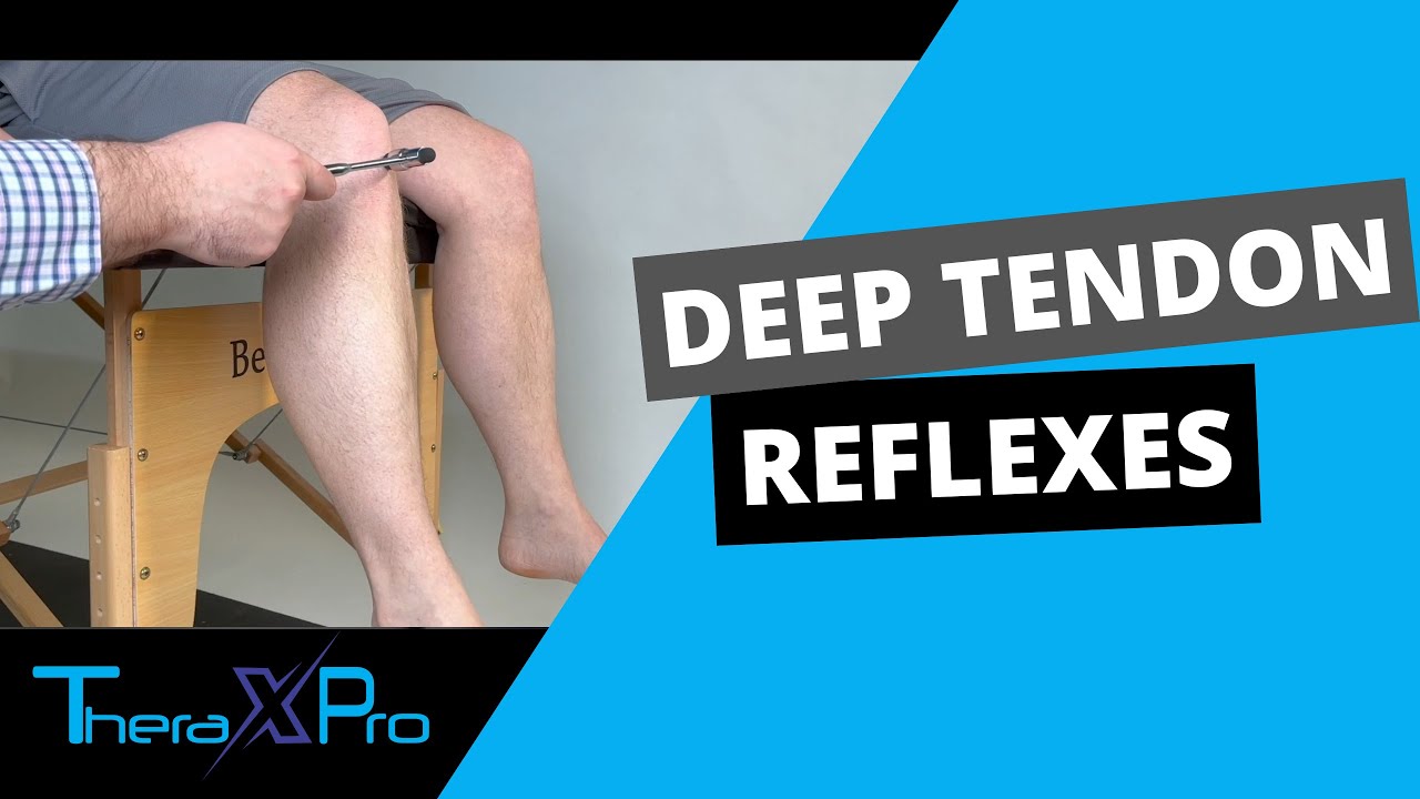 Deep Tendon Reflexes