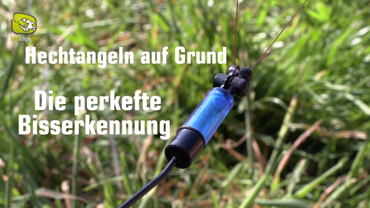 Die perfekte Bissanzeige beim Hechtangeln auf Grund mit K&ouml;derfisch