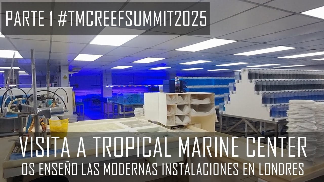 PARTE 1 REVIEW de Tropical Marine Center en Londres REEFSUMMIT2025